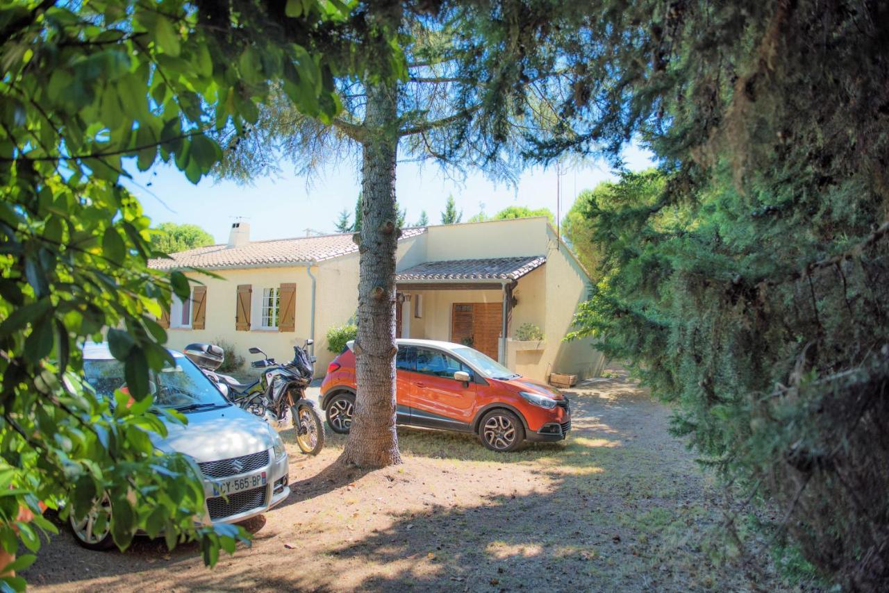 Trèbes Villa 110M2, 7 Pers, Jacuzzi , 3 Chambres, Terrain Clos Et Arbore 2500M2 מראה חיצוני תמונה